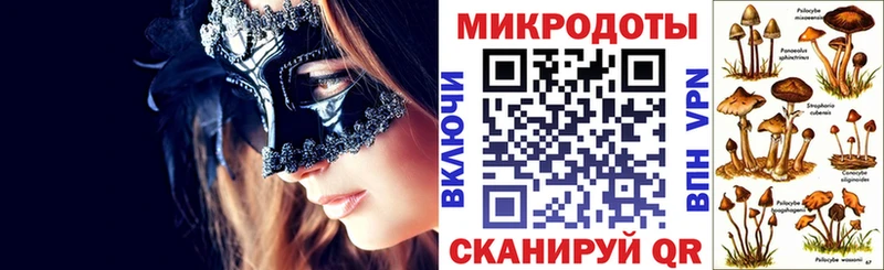 Псилоцибиновые грибы мицелий  Купить  Дальнегорск 